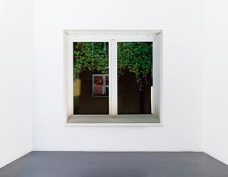 Jed, 2015, c-print, diasec, 160 x 160 cm
