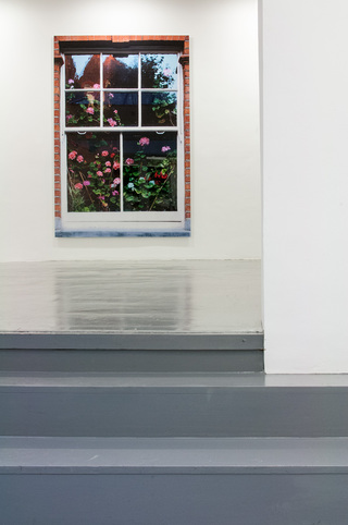 Andy, 2014, c-print, diasec, 204 x 140 cm, in: Florilegia, 2015, Grimaldi Gavin Gallery, London