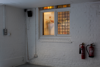 Lilly and Two Money Trees, 2012, inkjet prints behind window, 100 x 150 cm, in: Ekistics and Ikebana Observatory Vol 1, 2014, Oxford House, London