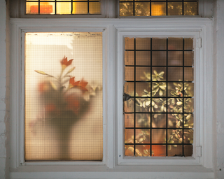 Lilly and Two Money Trees, 2012, inkjet prints behind window, 100 x 150 cm, in: Ekistics and Ikebana Observatory Vol 1, 2014, Oxford House, London