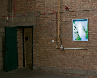 Glücksfeder, Köln (Cultural Advantages), 2012, Lightbox, piping, 84,5 x 64 cm, in: In Transit, 2013, V22, London