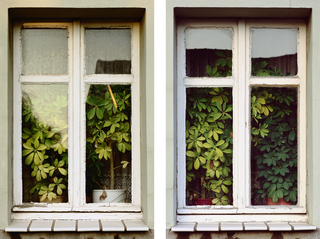 Wahn I + II, 2014, diptych, c-print, diasec, 140 x 90 cm each